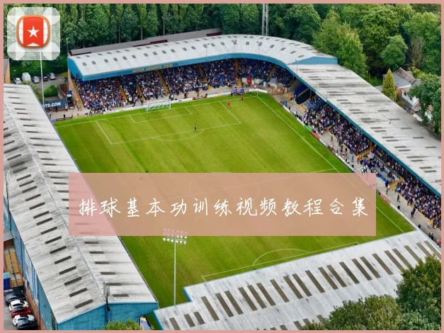 排球基本功训练视频教程合集